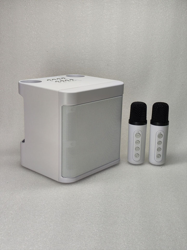 Portable Karaoke Speaker System Stornfield