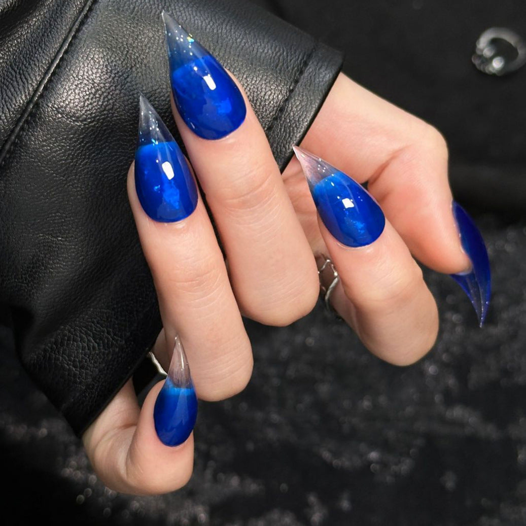Elegant Stiletto Press-On Nail Set with Glossy Shine