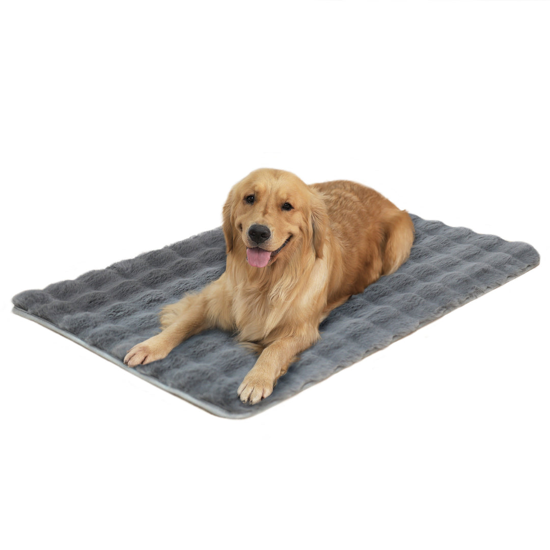 Unisex Cozy Dog Pillow Stornfield