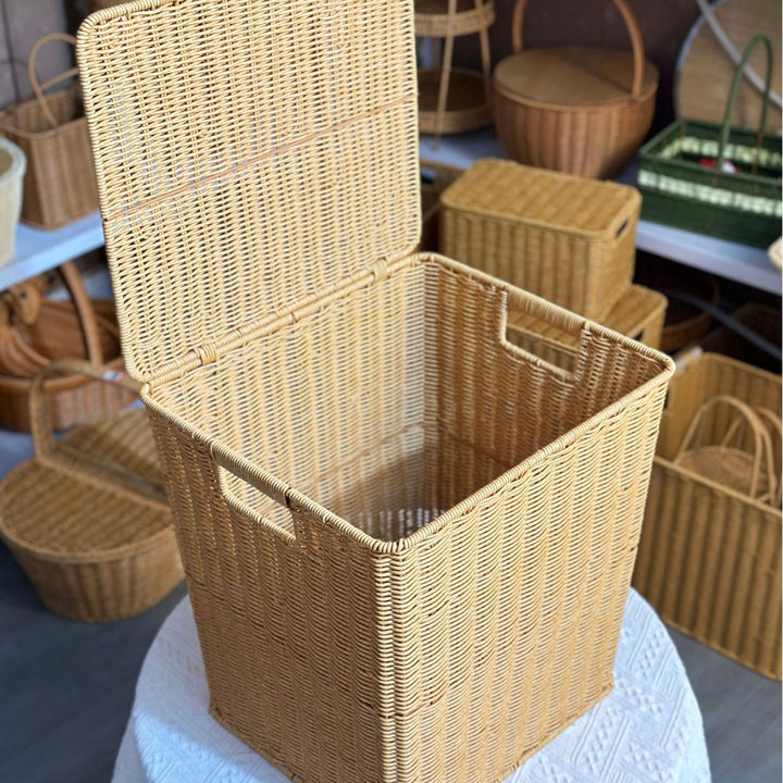 Contemporary Rectangular Woven Storage Bin Stornfield