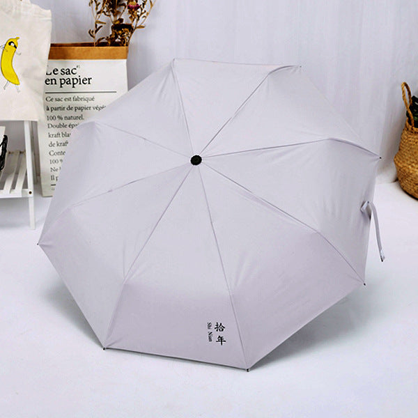 Ladies Pocket Umbrella Stornfield