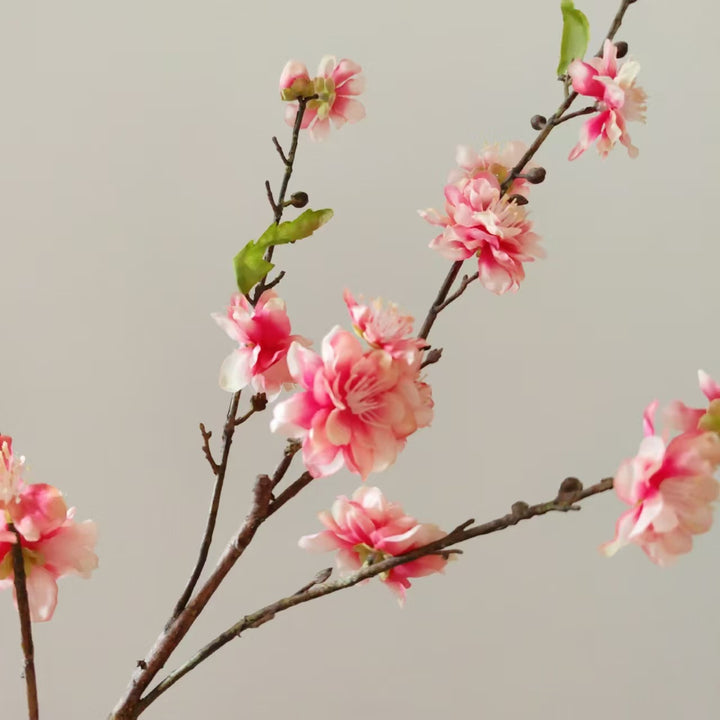 Decorative Cherry Blossom Branch