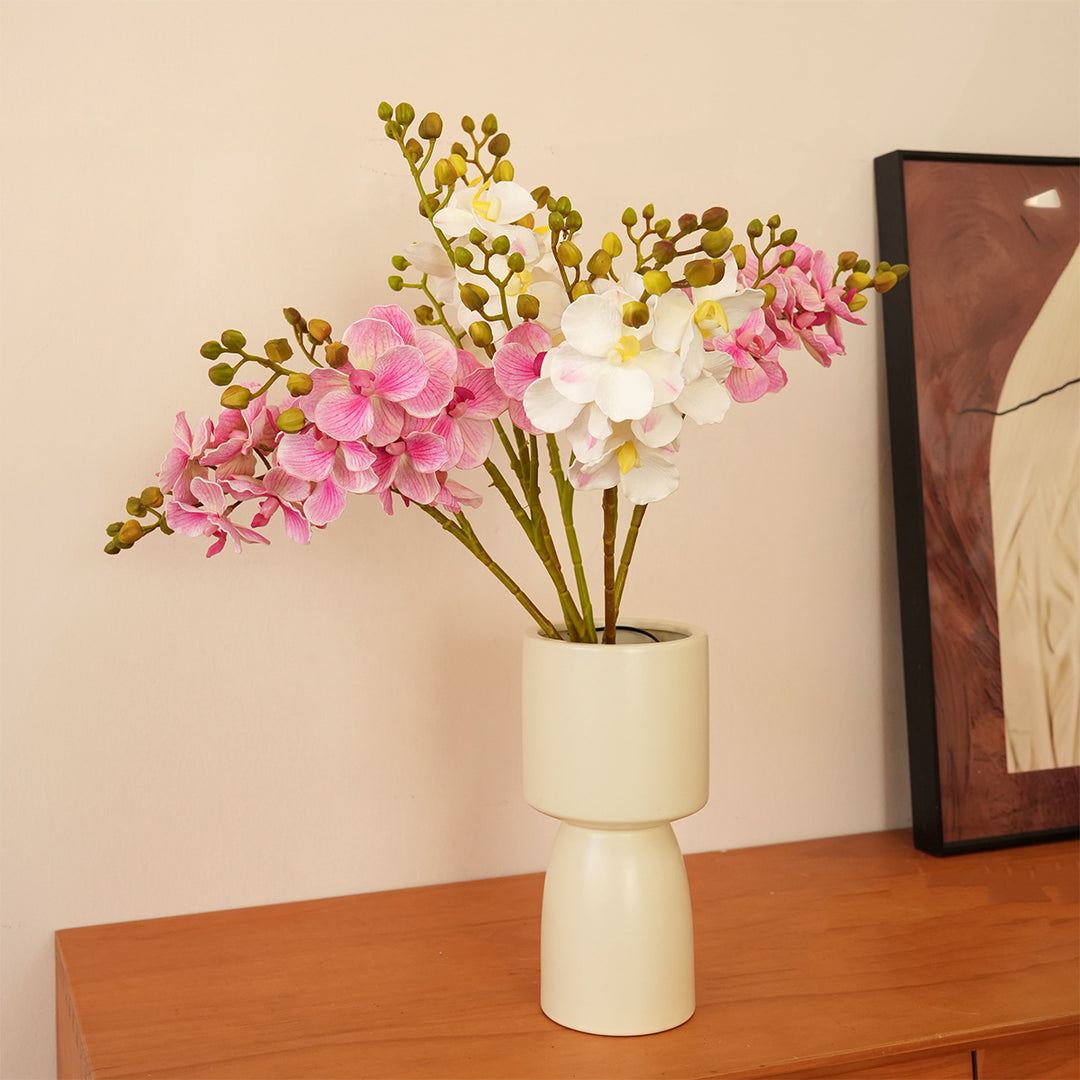Elegant Orchid Stems Stornfield