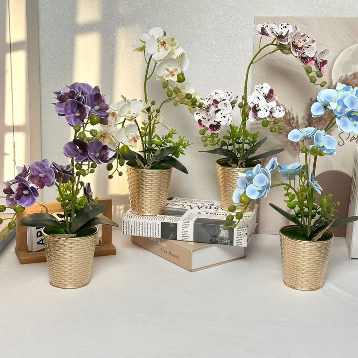 Decorative Orchid Plant for Tabletop Home Decor