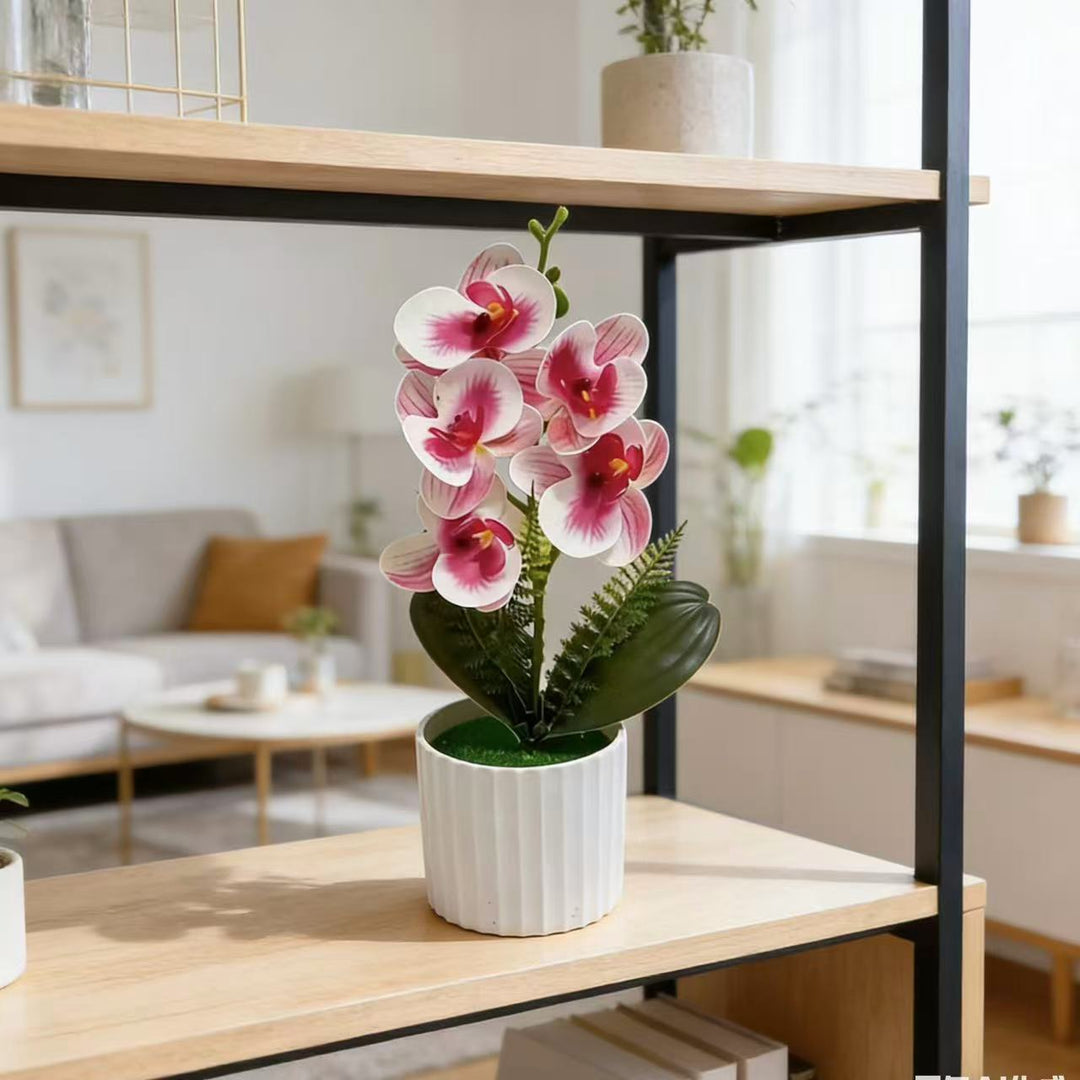 Decorative Orchid Plant Arrangement 1790480742 for Decor
