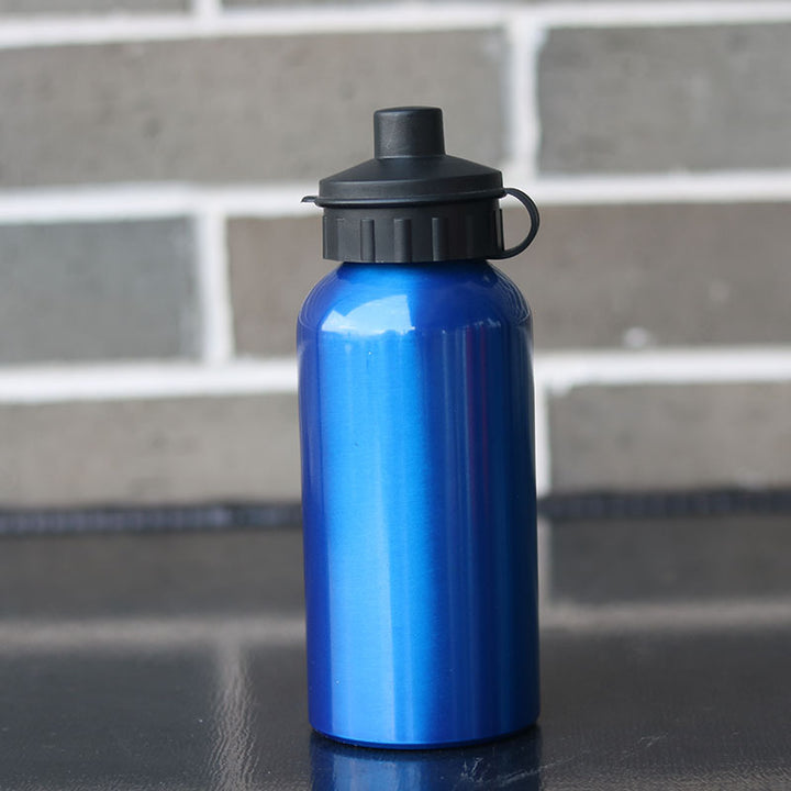 Insulated Stainless Steel Water Bottle Stornfield