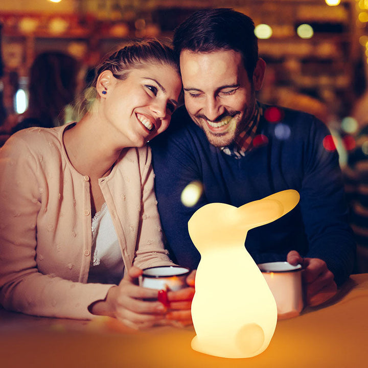Stornfield | Creative Contemporary Rabbit-Shaped LED Table Lamp for Bedroom