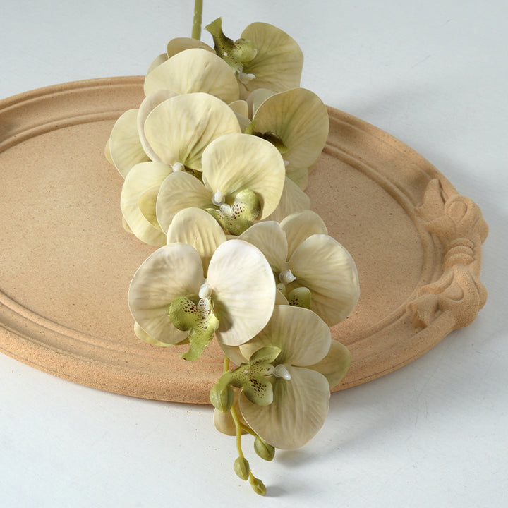 Decorative Artificial Orchid Stem
