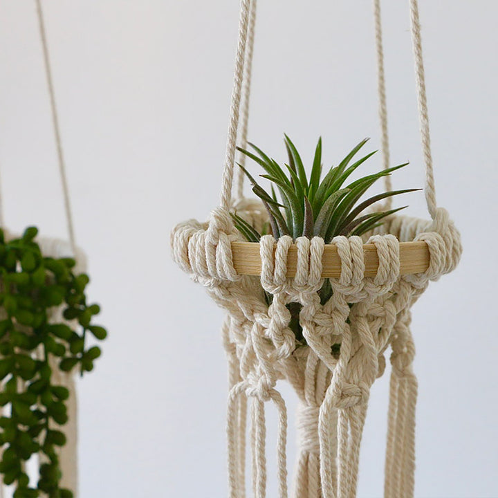 Exquisite Macrame Hanging Planter Stornfield