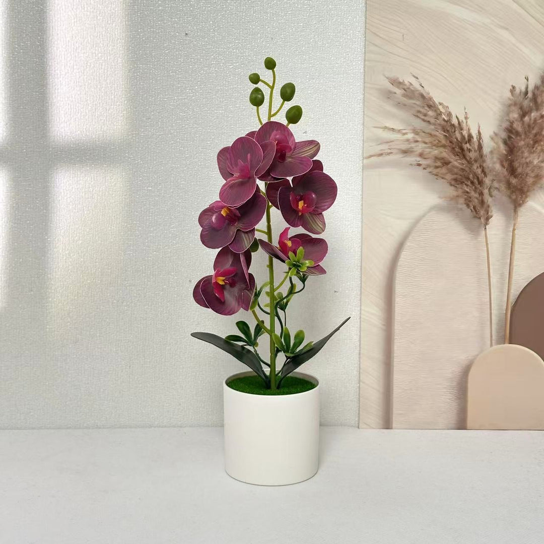 Elegant Orchid Floral Centerpiece