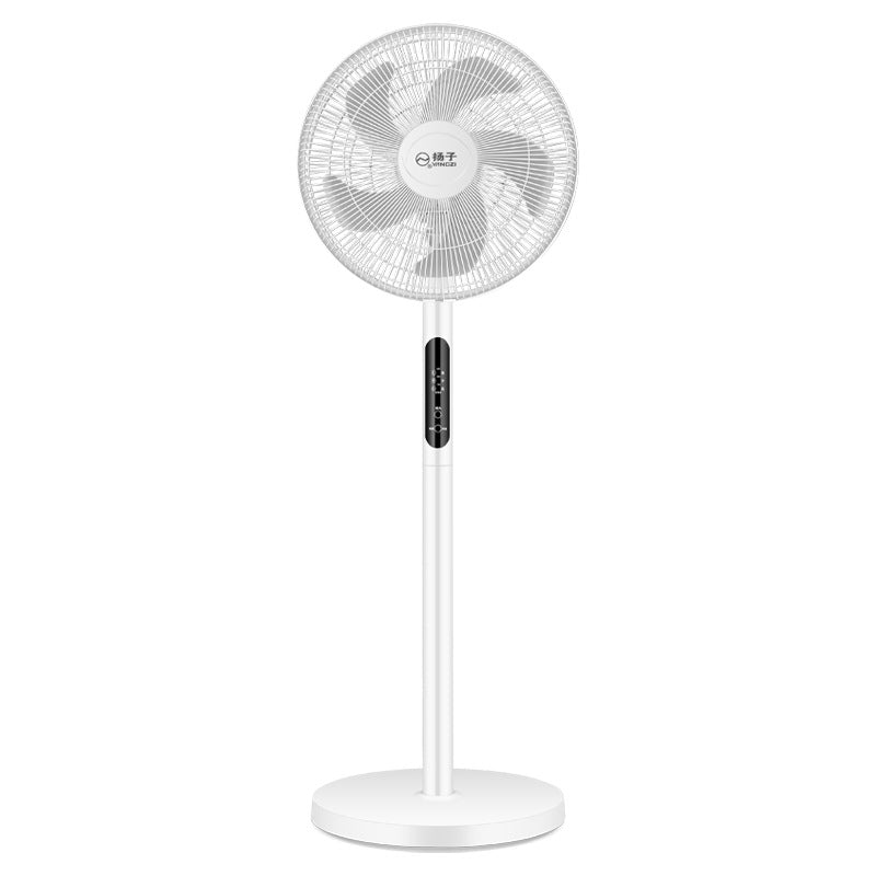 Ladies Stand Fan Stornfield