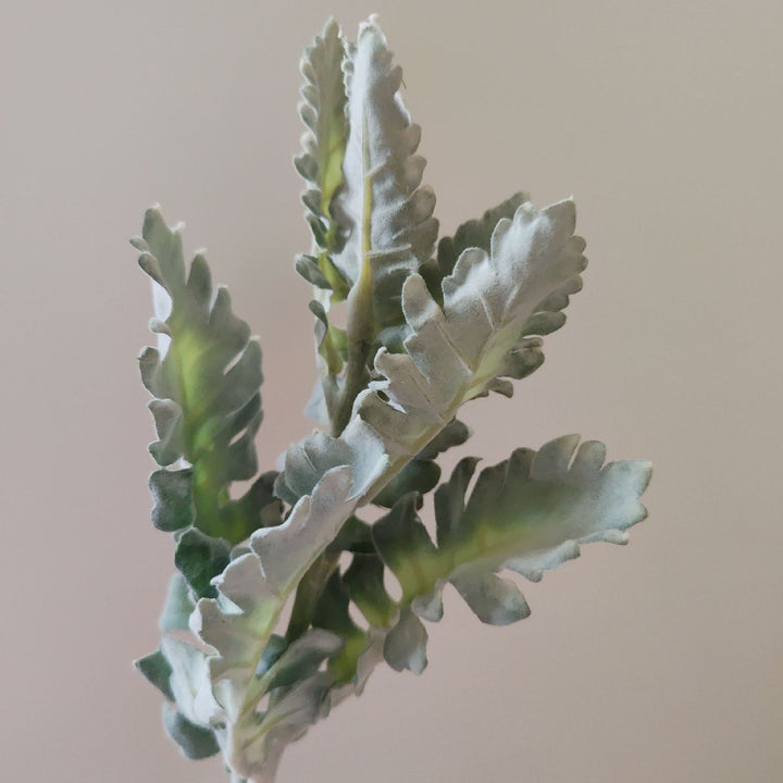 Realistic Decorative Cactus Stem