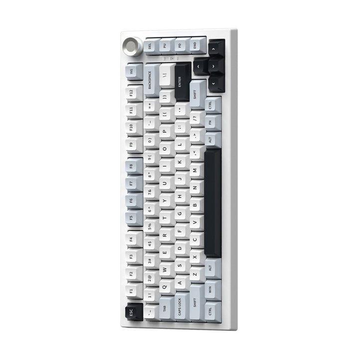 Gaming keyboard with individually customizable RGB backlighting Stornfield