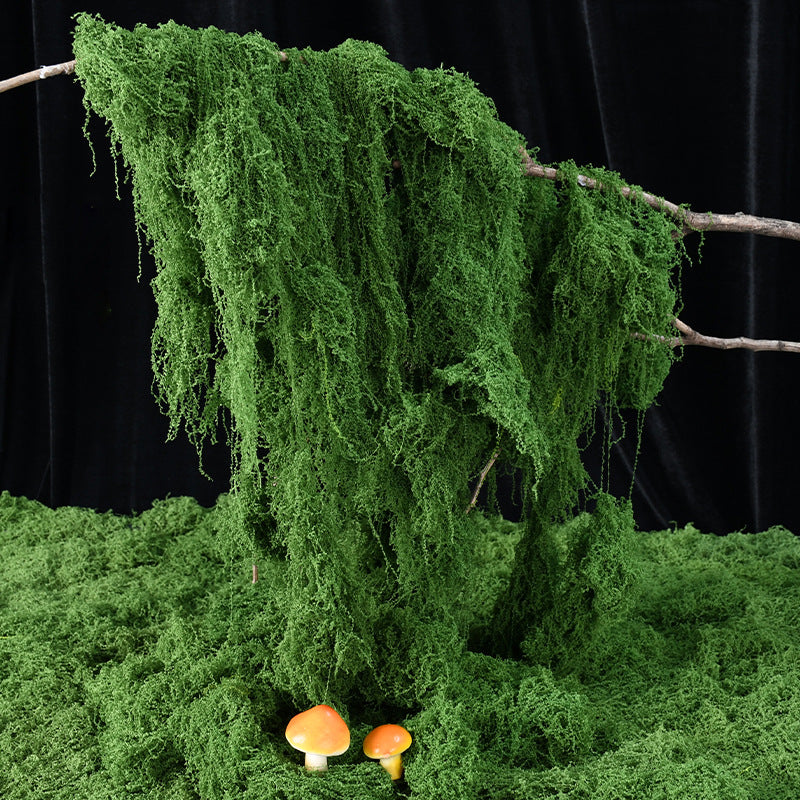 Decorative Greenery Moss Arrangement