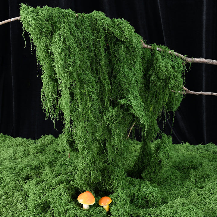 Decorative Greenery Moss Arrangement