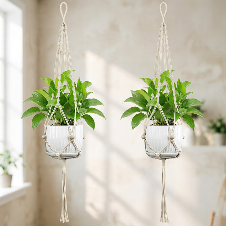 Plant Hanging Pot Stornfield