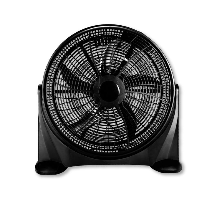 Ladies standing fan Stornfield