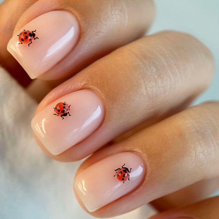 Artistic Ladybug Design Press-On Nail Set Stornfield