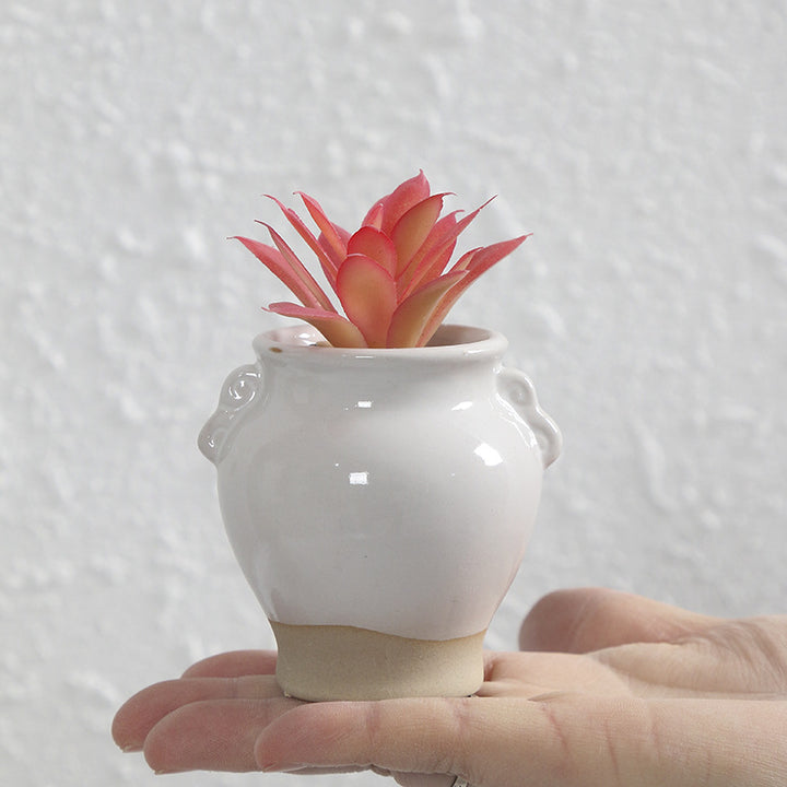Miniature Decorative Flower Pot Stornfeild