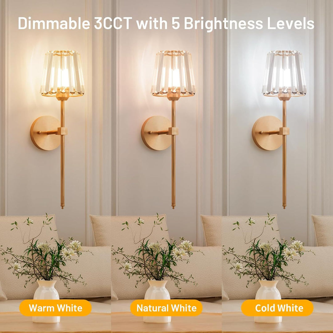 Wall-Mounted Modern Sconce