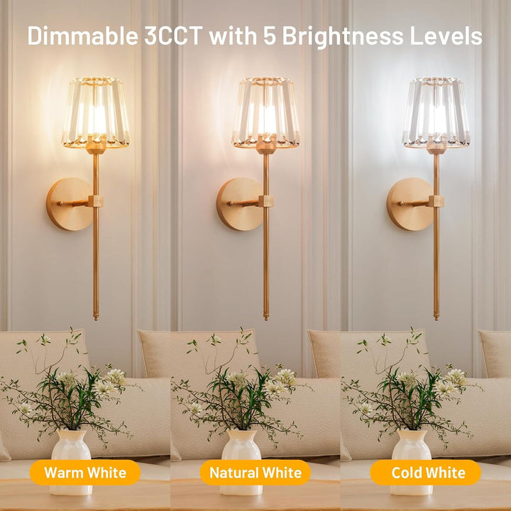 Wall-Mounted Modern Sconce