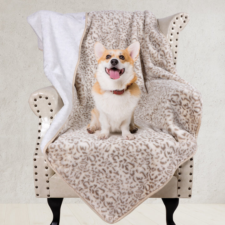 Ladies Snuggle Blanket Stornfield
