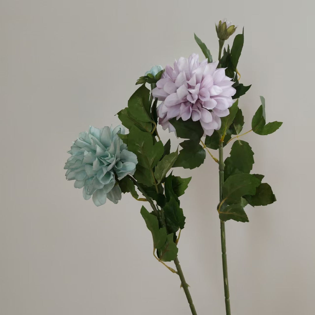 Realistic Dahlia Flower Stem