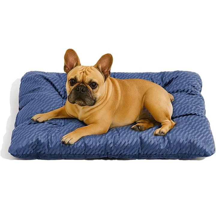 Premium Supportive  Mattress   Dog Bed