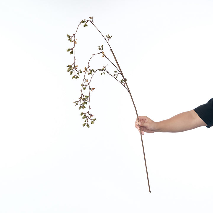 Delicate Cherry Blossom Stem