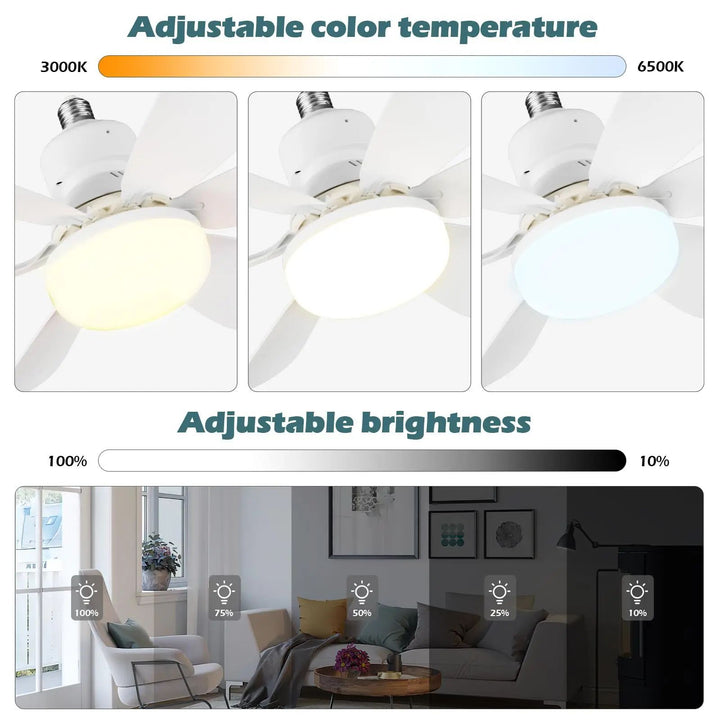 Colorful Ceiling Fan Stornfield