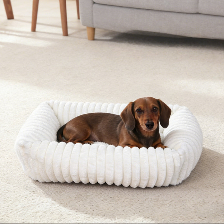 Plush Bolstered dog bed