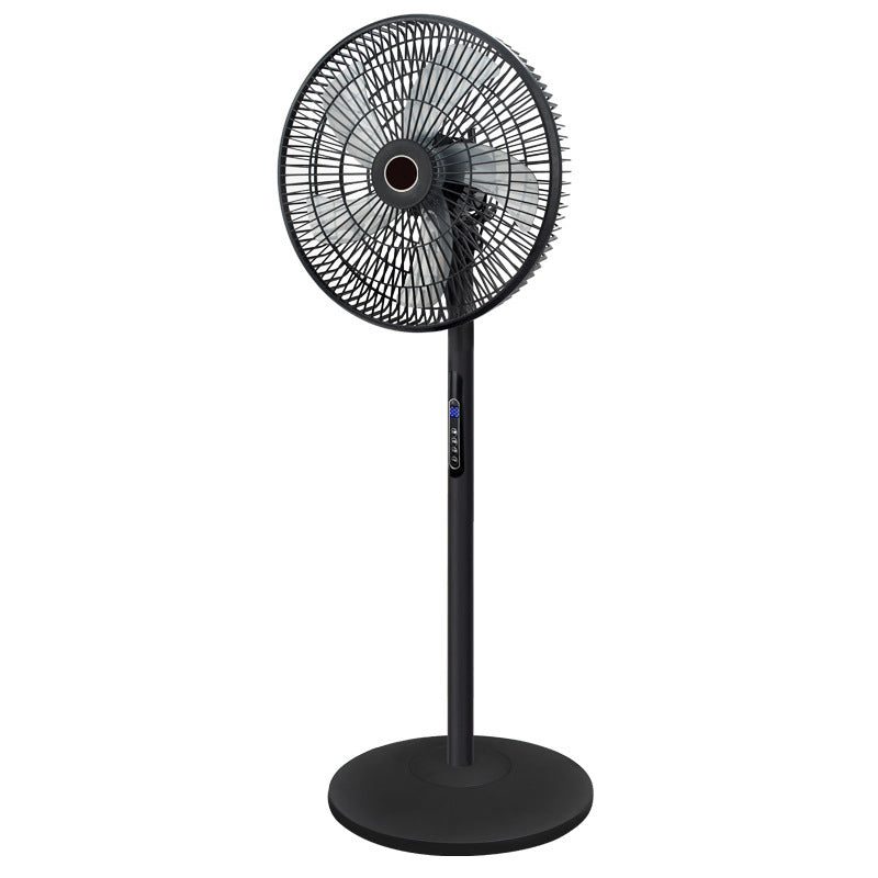 Ladies Electronic Stand Fan with Remote Control Stornfield