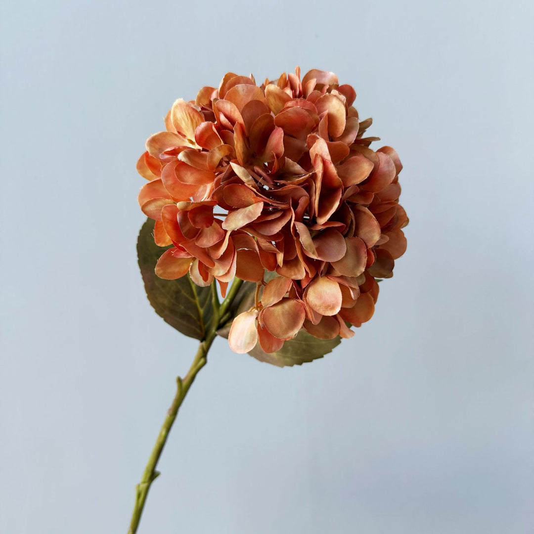 Floral Decorative
