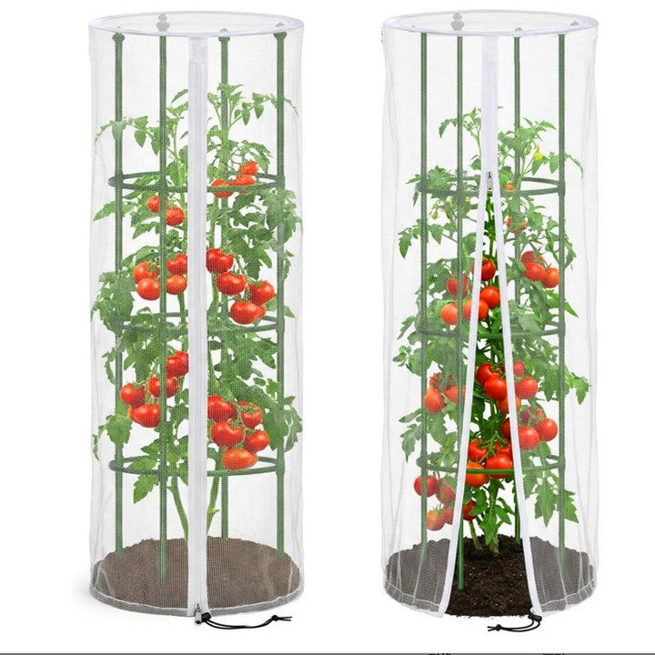 Gardening Plant Support Stornfield