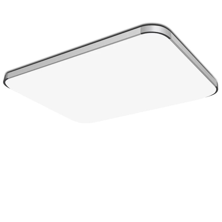 Modern Ceiling Light