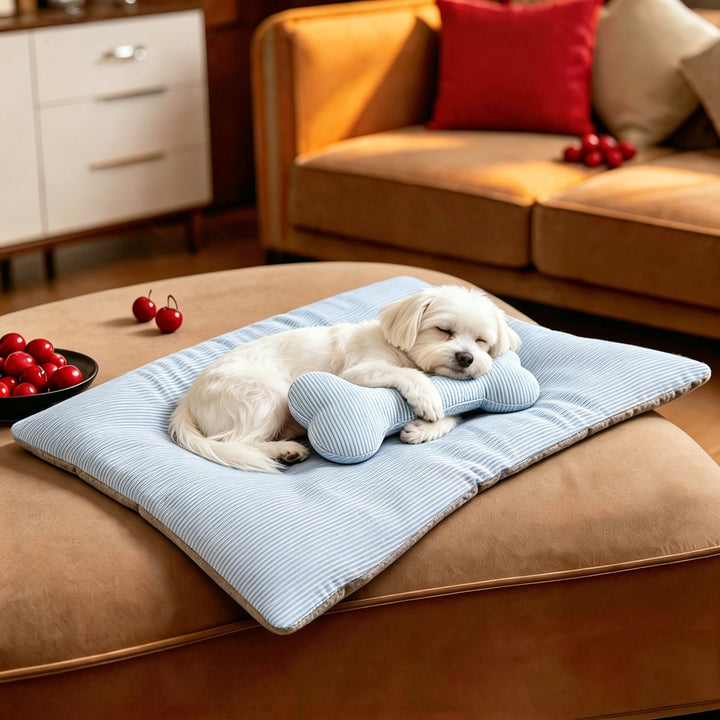 Unisex Cozy and durable pet mat with various cushion shapes Stornfield