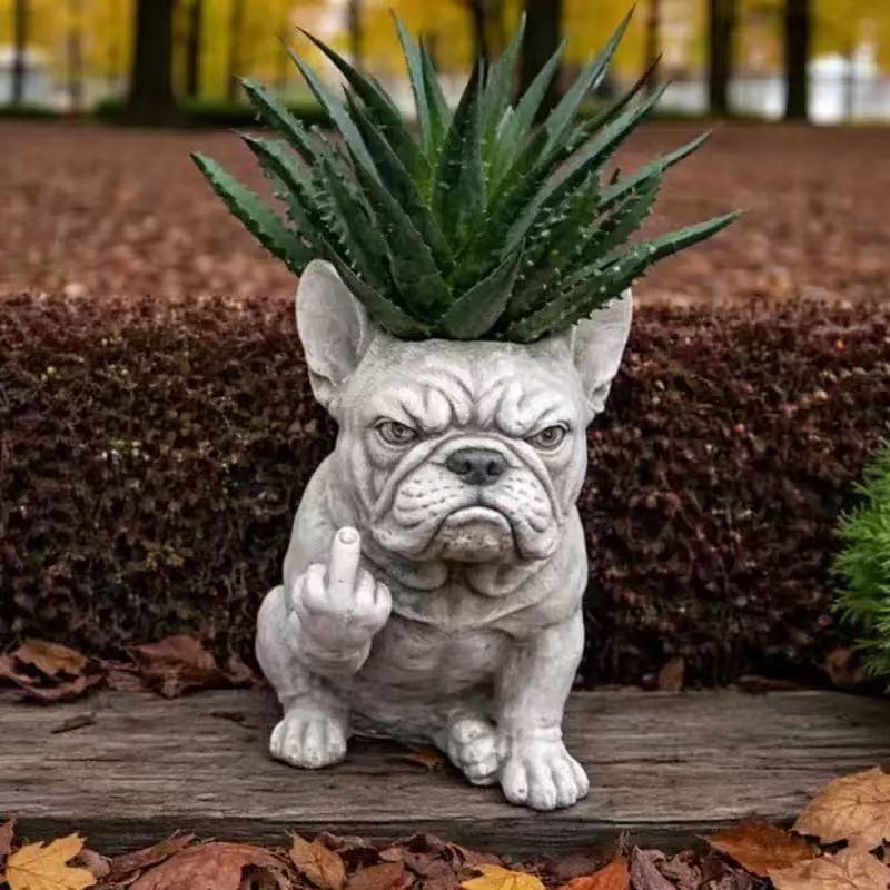 Decorative Dog Plant Stornfield