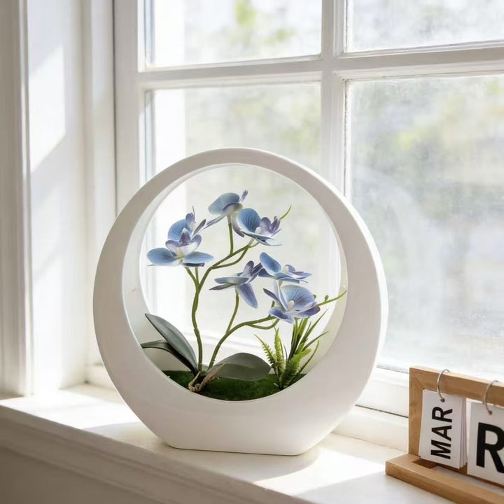 Decorative Orchid Display for Indoor Home Decor