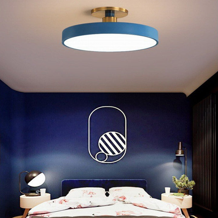 Contemporary Flush Mount Ceiling Light