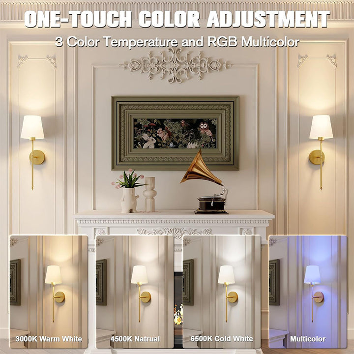 Smart LED Wall Lamp