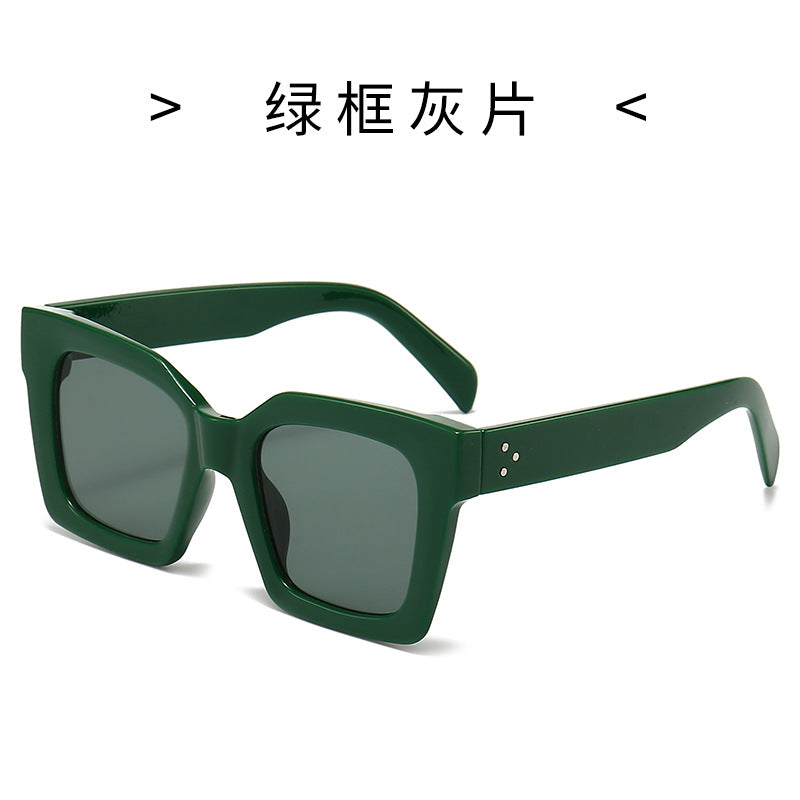 Women's Fashion Sunglasses in Striking Turtle Design Stornfield