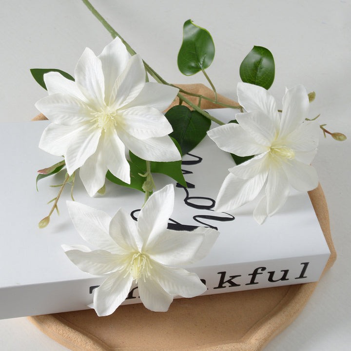 Decorative Floral Clematis Stem