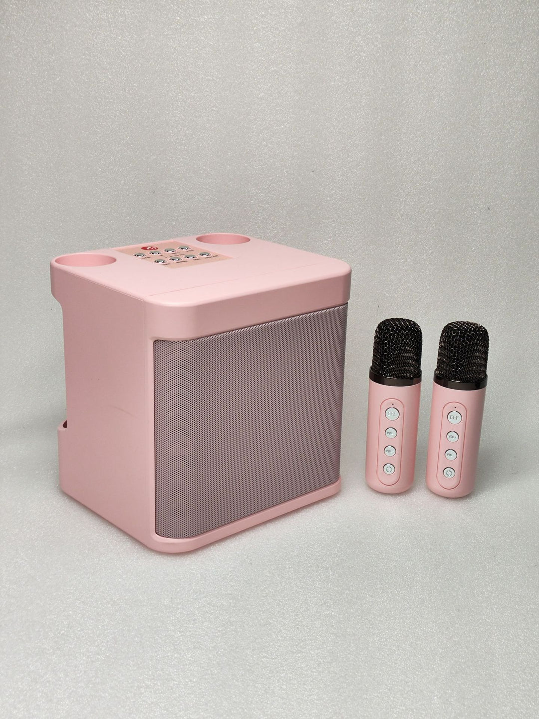 Portable Karaoke Speaker System Stornfield