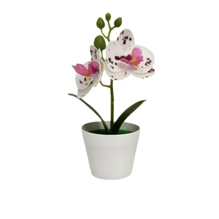 Artificial Orchid Plant for Decorative Home Display and Styling