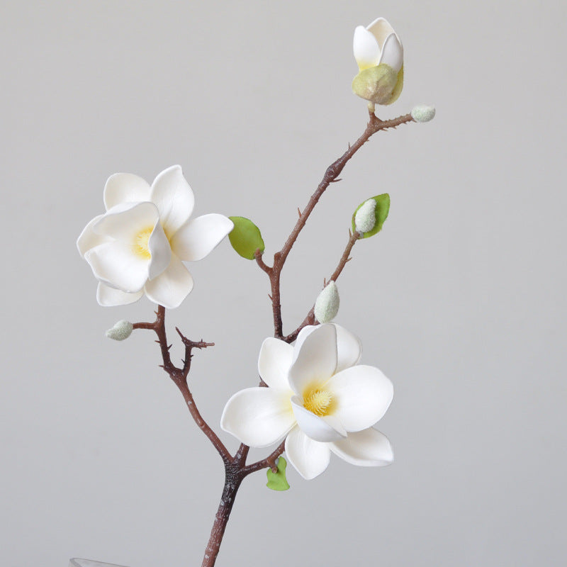 Magnificent Silk Magnolia Flower Stem