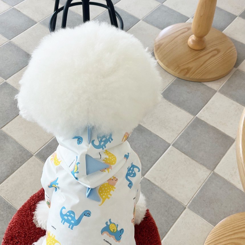 Waterproof Hooded Dino-Print Dog Raincoat with Spiked Hood