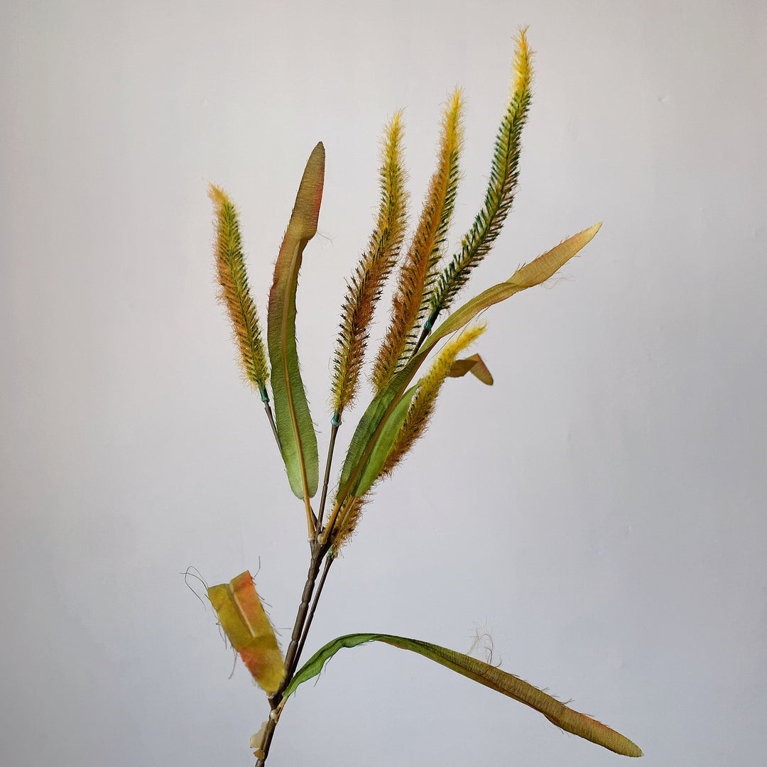 Decorative Pampas Grass Stem