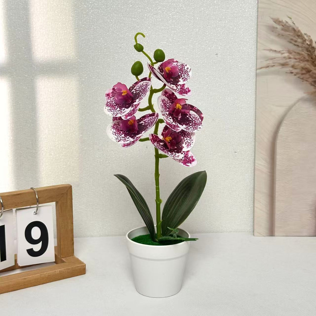 Decorative Artificial Orchid for Home Decor Display