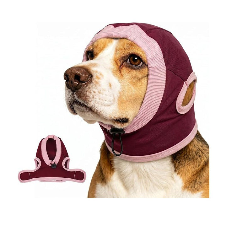 Dog head protection Stornfield