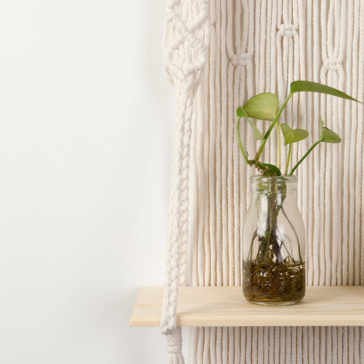 Macramé Wall Shelf with Integrated Plant Holder Stornfield
